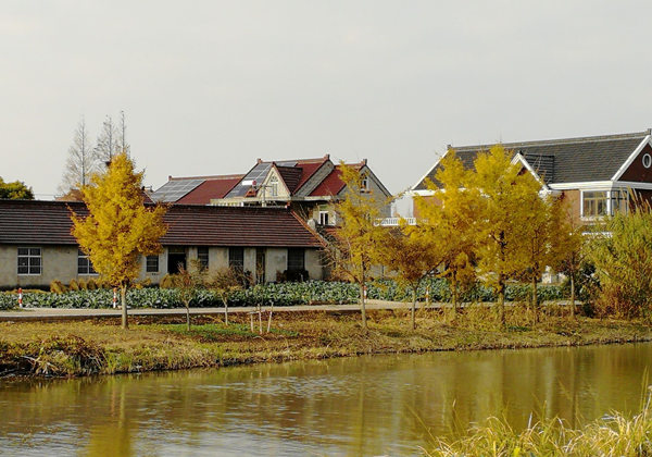 5fd7112792e64.jpg